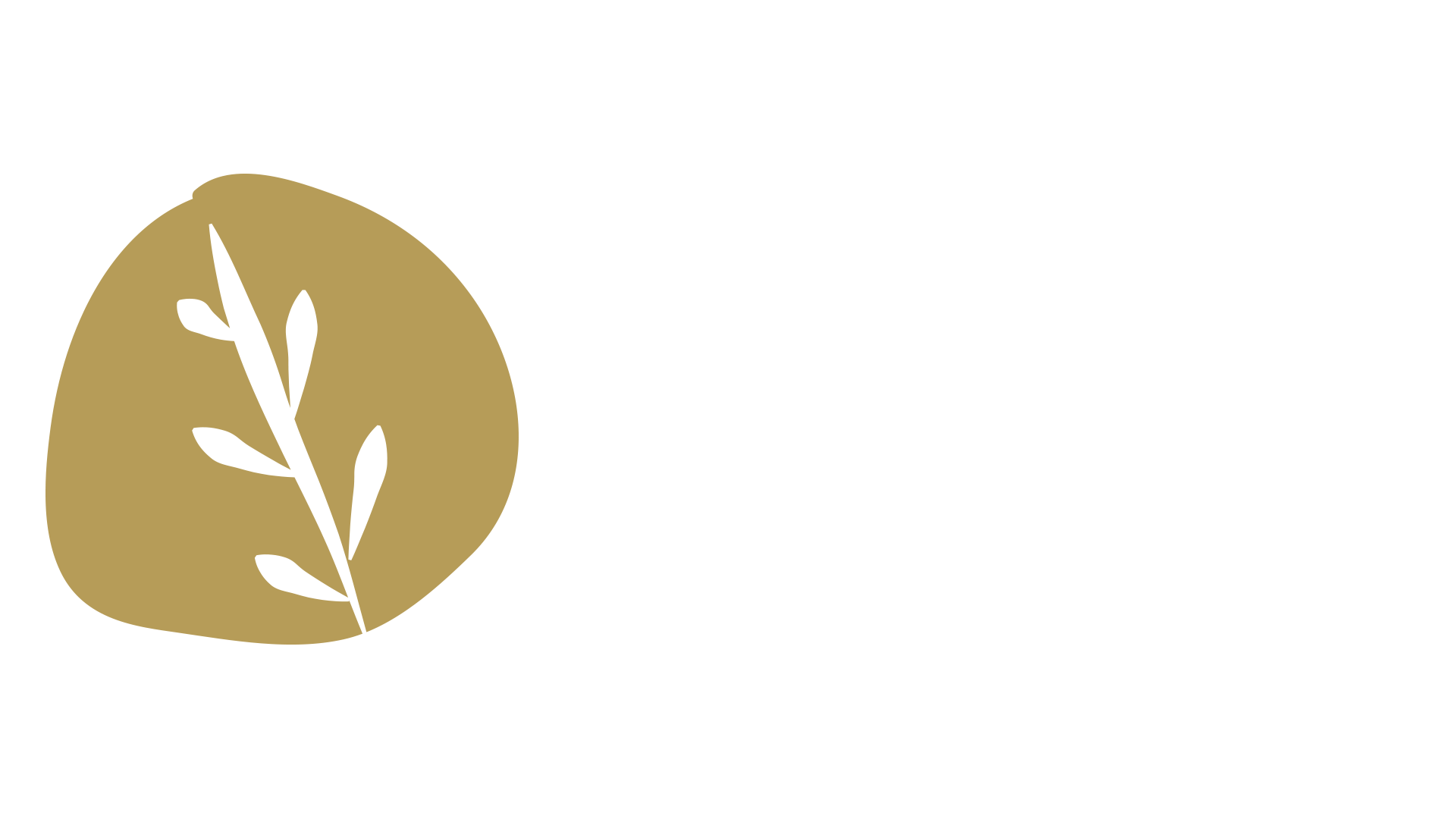 Azienda Agricola Piccolo